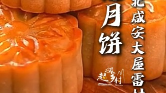 湖北老师傅桂花月饼制作秘诀大公开，在家也能自己做