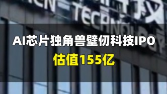 AI芯片獨角獸壁仞科技IPO，估值155億