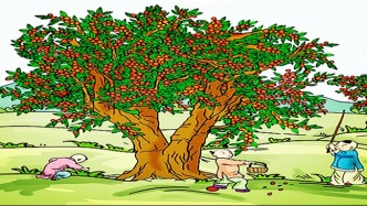 延安小作家丨苏安迪：做好事不需要理由