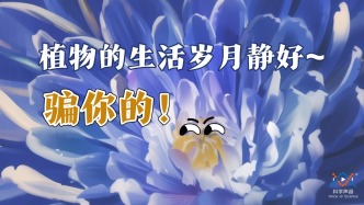 静默无声的植物，有着不可思议的疯狂