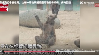 動物瘦成“皮包骨”？動物園轉型之路如何走？