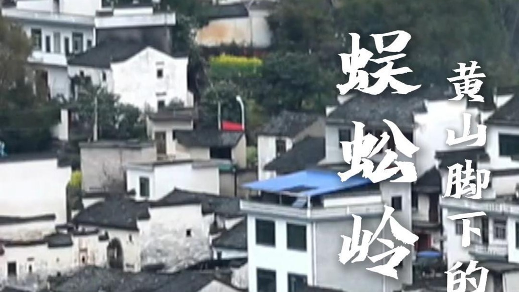 中国独一无二的高山石砌梯形茶园——安徽歙县传统村落蜈蚣岭村