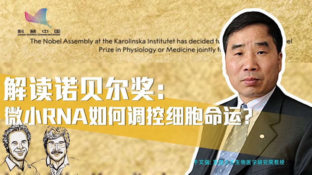 解读2024年诺奖——微小RNA如何调控细胞命运？