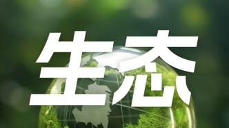 甘肃纪检监察组：严查生态环境违法行为