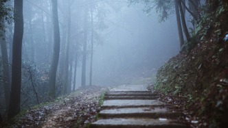 網紅博主“盯上”哀牢山？官方出手緊急 “滅火”