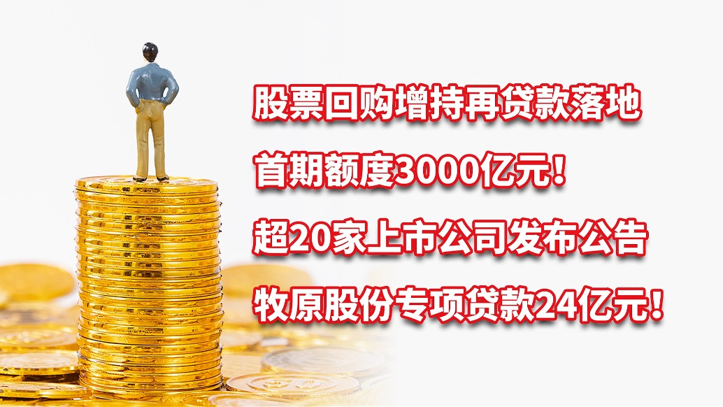 股票回购增持再贷款首期额度3000亿元，超20家上市公司发布公告