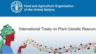 哥倫比亞加入《糧食和農業植物遺傳資源國際條約》