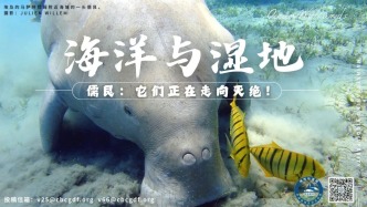 广西合浦儒艮国家级自然保护区在《全国自然保护地整合优化调整清单》公示中得以保留