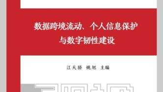 复旦智库报告｜数据跨境流动、个人信息保护与数字韧性建设