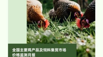 全國主要雞產品及飼料集貿市場價格監測月報（2024年10月）